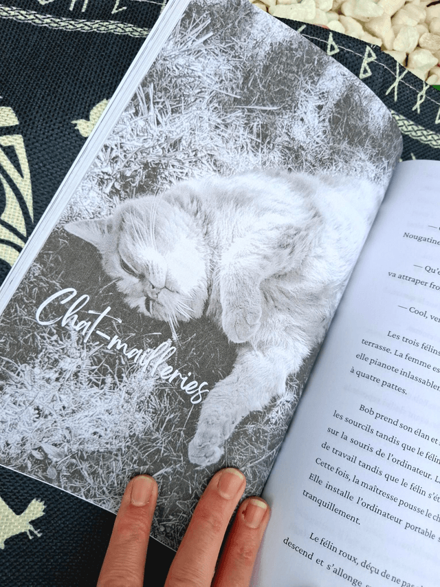 Le journal des Cats. Et si les chats prenaient la parole.