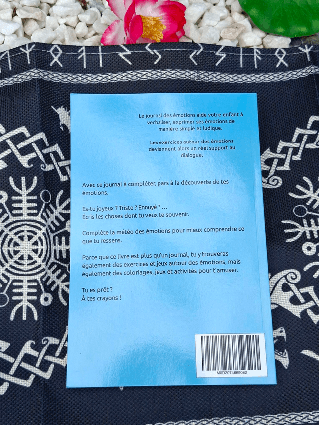Mon journal des émotions – Activités et jeux pour aider l’enfant à exprimer ce qu’il ressent