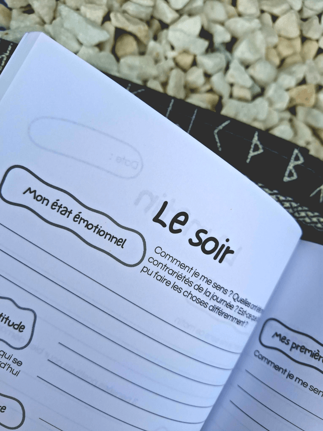 Mon journal de gratitude – 60 jours pour confiance et lâcher prise