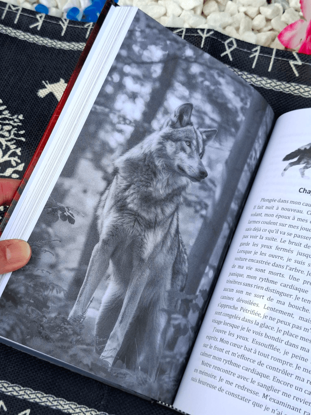 Le retour de la louve - relié - romance fantastique entre légendes, passion et loups-garous