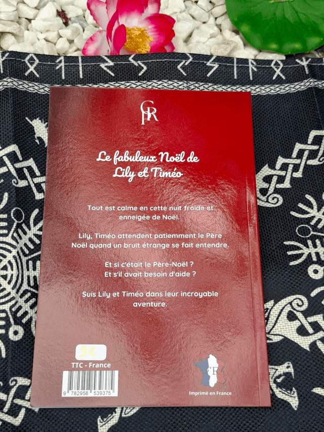 Le fabuleux Noël de Lily et Timéo : conte illustré 